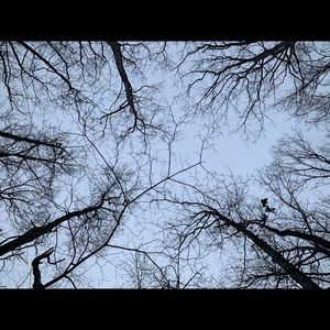 Meet your Posher, Lon